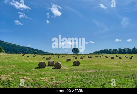 Strohballen auf einem Feld in der Nähe von Stowe, Shropshire Stockfoto