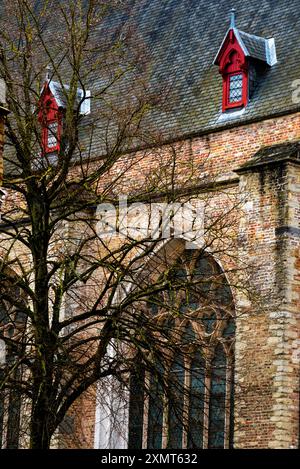 Gotische, rote Holzbalken und spitz gewölbte Fenster mit Tracery in der Kirche unserer Lieben Frau in Brügge, Belgien. Stockfoto