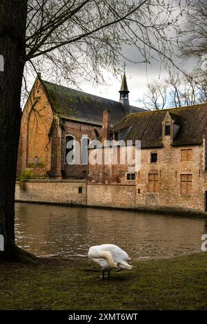 St. Elisabeth Kirche und Begijnhof von Brügge, Belgien. Stockfoto