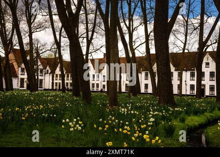 Niedrig gelegene Wiesen des Begijnhofs in Brügge, Belgien. Stockfoto