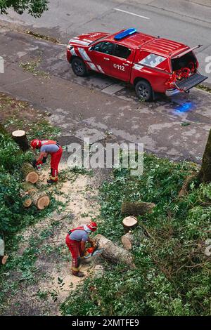 Die Rettungskräfte haben es mit den Folgen des Hurrikans zu tun und einen umgefallenen Baum mit Kettensägen zu Fällen. Stockfoto