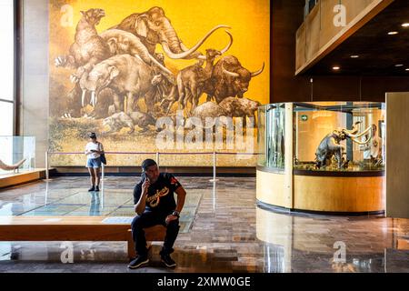 Höhlenmensch, Neandertaler, Primaten, Homo Mammuthus, Mammut, Elephantidae Homo sapiens im Nationalmuseum für Anthropologie MNA in Mexiko-Stadt. Amerikanischer Museumskomplex, der das archäologische Erbe der Völker Mesoamerikas und die ethnische Vielfalt im Chapultepec Forest zeigt, der vom National Institute of Anthropology and History INAH betrieben wird. Naturgeschichte .. (Foto von Luis Gutierrez/ Norte Photo) hombre de la caverna, Neandertal, Primate, Homo Mammuthus, mamut, Elephantidae Homo sapiens en el Museo Nacional de Antropología MNA en Ciudad de México. recinto museográficos de América. K e Stockfoto