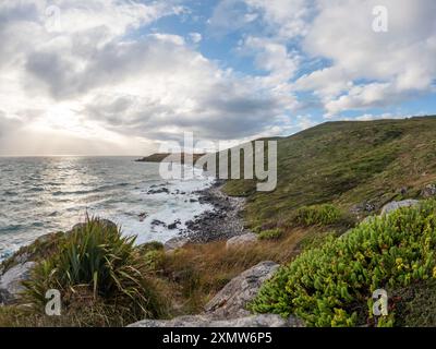 Panoramablick vom Bluff Hill Motupohue, spektakuläre Ausblicke über die Foveaux Strait und den heimischen Wald, windgepeitschte Küste und buschbedeckte Hügel Stockfoto