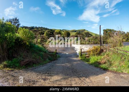 Coromandel Wilderness: Erkunden Sie die üppigen Urwälder und die artenreichen Landschaften Neuseelands Stockfoto