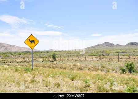 Verkehrsschild mit einem Guanaco, das das Vorhandensein und mögliche Überschreiten einheimischer Tiere anzeigt, Fahrer warnt, Unfälle zu vermeiden und Tiere zu überfahren Stockfoto