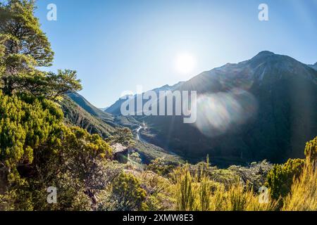 Alpine Adventure: Entdecken Sie die Landschaften des Avalanche Peak Track und Scotts Track im neuseeländischen Arthur's Pass National Park, dramatische Ausblicke mit Gree Stockfoto