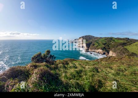 Puponga Hilltop Track Landschaft: Malerische Küstenwanderung mit Panoramablick auf Neuseelands Westküste, Cape Farewell und Tasmansee Stockfoto