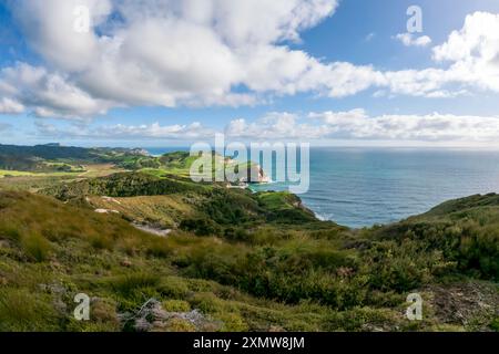 Puponga Hilltop Track Landschaft: Malerische Küstenwanderung mit Panoramablick auf Neuseelands Westküste, Cape Farewell und Tasmansee Stockfoto