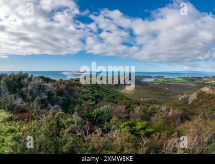 Puponga Hilltop Track Landschaft: Malerische Küstenwanderung mit Panoramablick auf Neuseelands Westküste, Cape Farewell und Tasmansee Stockfoto