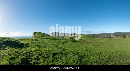 Puponga Hilltop Track Landschaft: Malerische Küstenwanderung mit Panoramablick auf Neuseelands Westküste, Cape Farewell und Tasmansee Stockfoto