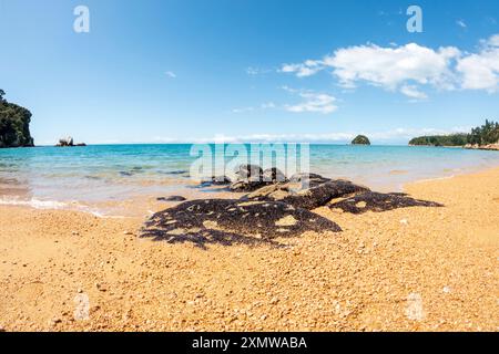 Golden Bay Beach mit geologischer Felsformation Split Apple Rock in Tasman Bay vor der Nordküste der Südinsel Neuseelands Stockfoto