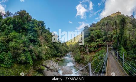 Wainui Falls umgeben von einheimischen Büschen von Nikau-Palmen, Rata-Bäumen und Farnen, sind die größten Wasserfälle in Golden Bay, Abel Tasman National Park in der Nähe von Takaka, N Stockfoto