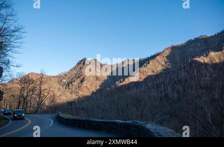 Sonnenlicht und Schatten in den Smokey Mountains in Tennessee und Autos nähern sich auf einer asphaltierten Parkstraße. Stockfoto