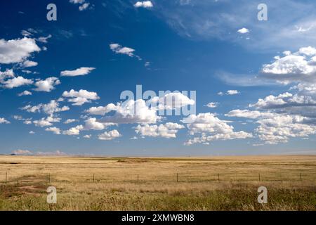 Blick über die westlichen Hochebenen mit einem trockenen Feld unter blauem Himmel mit ein paar Kumuluswolken über der Prärie Stockfoto