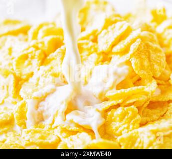 Milch, die in Cornflakes gegossen wird Stockfoto
