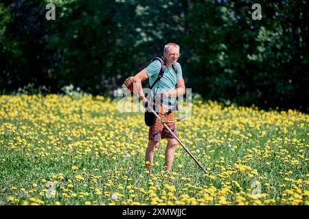 Unkrautschneider wird vom Hausbesitzer benutzt, um Löwenzahn auf dem Grundstück zu töten. Stockfoto