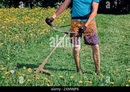 Der gasbetriebene Faden-Unkrautschneider wird auf einem Feld blühender Löwenzahn betrieben. Stockfoto