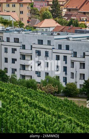 Weingarten Gazebo in Grebovka Havlickovy sady Gärten im Vinohrady Viertel in Prag, Hauptstadt der Tschechischen Republik Stockfoto