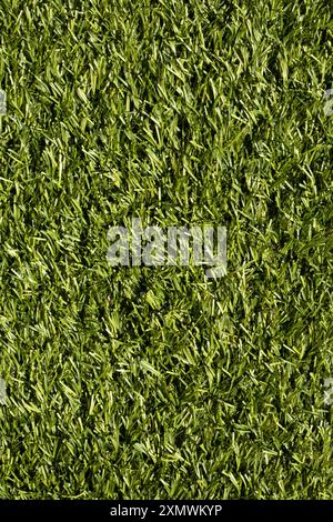 Künstliches künstliches Gras Rasen Hintergrund Hintergrund. Umstrittene Verwendung von Kunstrasen gilt als umweltschädlich. Stockfoto