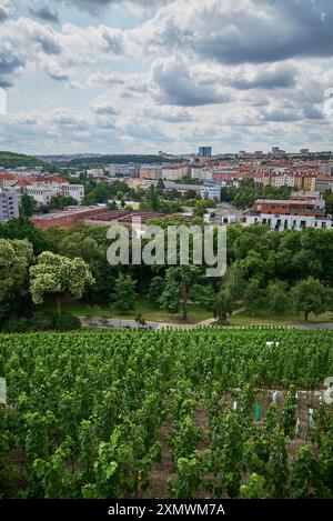 Weingarten Gazebo in Grebovka Havlickovy sady Gärten im Vinohrady Viertel in Prag, Hauptstadt der Tschechischen Republik Stockfoto