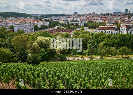 Weingarten Gazebo in Grebovka Havlickovy sady Gärten im Vinohrady Viertel in Prag, Hauptstadt der Tschechischen Republik Stockfoto