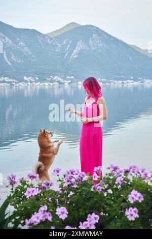 Eine spielerische Interaktion entfaltet sich, wenn eine Frau in einem rosa Kleid ihrem Shiba Inu Hund beibringt, am See zu stehen, umgeben von violetten Blumen Stockfoto