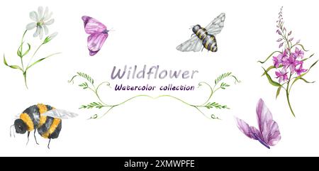 Feuerweed-Blumen. Feldkräuter. Blühender Sally. Bienen, Hummeln. Schmetterlinge. Einstellen. Illustration Der Aquarellskizze. Wildpflanzen. Designelemente für Te Stockfoto