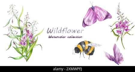 Feuerweed-Blumen. Blühender Sally. Bienen, Hummeln. Schmetterlinge. Einstellen. Illustration Der Aquarellskizze. Wildpflanzen. Designelemente für Teeprodukte, P Stockfoto