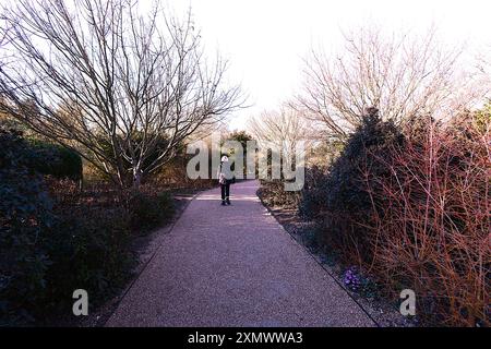 Prinzessin Diana Walking Walk Althorp Northampton Pfad Way Zweige sonnigen blauen Himmel Frühling Lifestyle Ort grüne Pflanzen Pflanze Dame Mantel Büsche Büsche UK Stockfoto