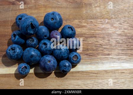 Eine Vielzahl frischer Heidelbeeren auf einem rustikalen Holztisch, die eine lebendige Anzeige von blauen Farben schaffen. Stockfoto