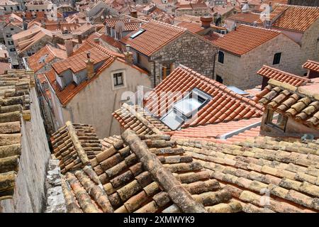 Dubrovnik, Kroatien - 5. Oktober 2019: Aus der Vogelperspektive auf die Terrakottadächer. Stockfoto