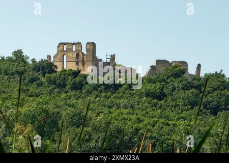 Ruine von Hrad Oponicky, Oponice, Slowakei Stockfoto