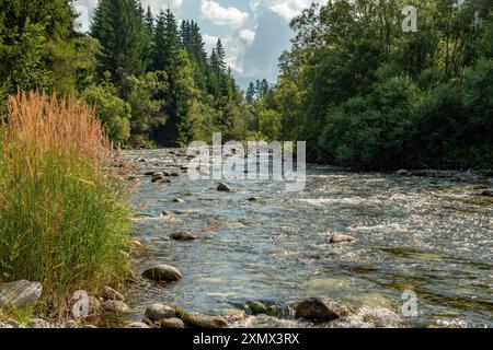 Fluss Bela, in der Nähe von Podbanske, Slowakei Stockfoto