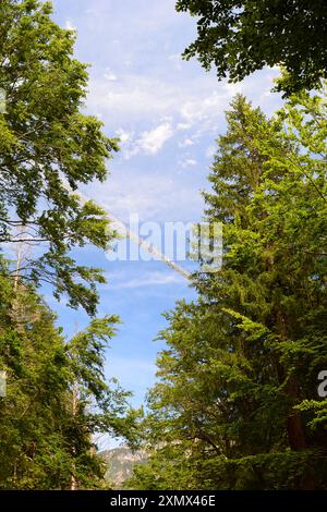 Highline179, eine Fußgängerbrücke im tibetischen Stil. Zurück. Tirol. Österreich Stockfoto