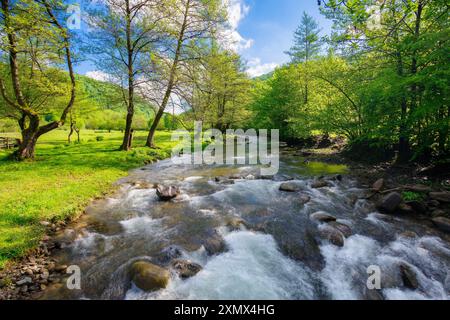 Landschaft mit Bergen, Wald und einem Fluss davor. Wunderschöne Landschaft im Frühling Stockfoto