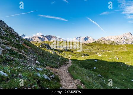 Am Vormittag Bergkulisse der Dolomiten vom Wanderweg zwischen Senes- und Seekofelhütten mit Bergwiesen und felsigen Berggipfeln Stockfoto