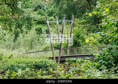 Struktur einer Fußgängerbrücke mit Kabelverbindung, umgeben von üppigen grünen Bäumen und wilder Vegetation, Holzpfosten, Drahtseilen, Gehwegen und Metall Stockfoto