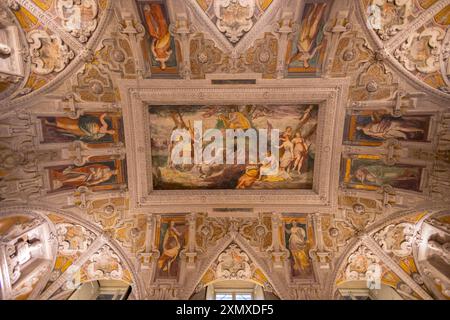 GENUA, ITALIEN, 19. JANUAR 2024 - Blick auf die Decke des Palastes von Tobia Pallavicino oder Carrega - Cataldi, Handelskammer von Genua, Italien Stockfoto