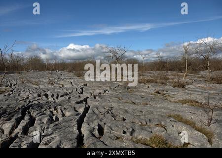 Kalksteinpflaster auf dem Gipfelplateau Hutton Roof Crags bei Burton in Kendal Westmorland und Furness England Stockfoto