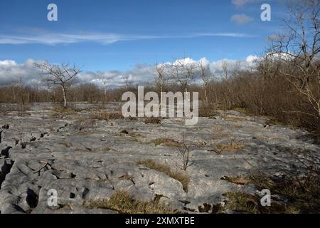 Kalksteinpflaster auf dem Gipfelplateau Hutton Roof Crags bei Burton in Kendal Westmorland und Furness England Stockfoto