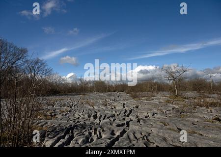 Kalksteinpflaster auf dem Gipfelplateau Hutton Roof Crags bei Burton in Kendal Westmorland und Furness England Stockfoto