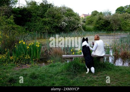 Frau und Hund sitzen auf der Landbank des Naturschutzgebiets neben dem ländlichen Teich in England, Großbritannien Stockfoto