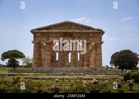 Archäologischer Park Paestum. Wunderschöne Historische Ruinen Von Tempeln Aus Römischer Zeit, Kampanien, Salerno, Italien Stockfoto