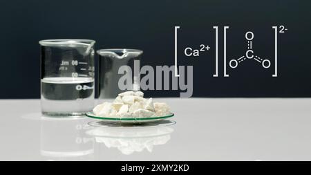 Calciumcarbonatchip in chemischem Uhrglas mit molekularer Struktur auf weißem Labortisch. Seitenansicht Stockfoto