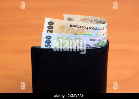 Rumänisches Geld - Leu in der schwarzen Geldbörse Stockfoto