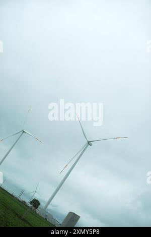 Bewundern Sie die Ruhe erneuerbarer Energien, während Windräder über üppig grüne Felder ragen. Dieser Panoramablick unterstreicht die Bedeutung von Sustainabili Stockfoto