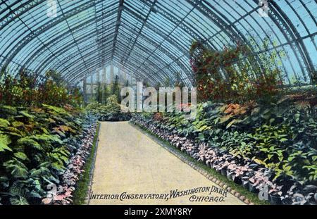 Das Innere des Conservatory, Washington Park, Chicago Stockfoto