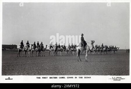 Das erste britische Kamelkorps im Sudan Stockfoto