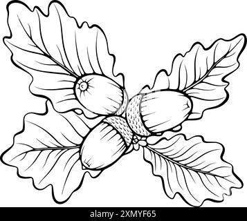 Eichenblätter mit Eichellinien Stock Vektor