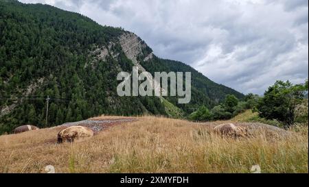 Saint-Ours Bas Fort, Saint-Ours Bas, Alpes de Haute-Provence, Frankreich Stockfoto